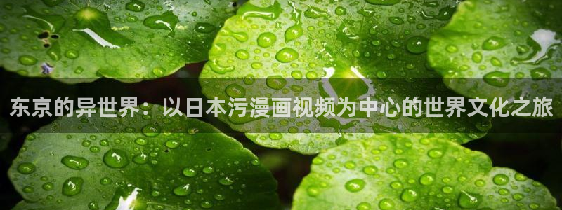哔咔漫画下载官网：东京的异世界：以日本污漫画视频为中心的世界文化之旅